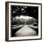 Walkway Framed by Overhanging Trees in Public Garden, San Quirico D'Orcia, Tuscany, Italy-Lee Frost-Framed Photographic Print