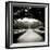 Walkway Framed by Overhanging Trees in Public Garden, San Quirico D'Orcia, Tuscany, Italy-Lee Frost-Framed Photographic Print