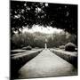 Walkway Framed by Overhanging Trees in Public Garden, San Quirico D'Orcia, Tuscany, Italy-Lee Frost-Mounted Photographic Print