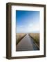 Walkway Going Through the Badlands National Park, South Dakota, Usa-Michael Runkel-Framed Photographic Print