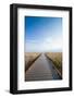 Walkway Going Through the Badlands National Park, South Dakota, Usa-Michael Runkel-Framed Photographic Print