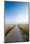 Walkway Going Through the Badlands National Park, South Dakota, Usa-Michael Runkel-Mounted Photographic Print