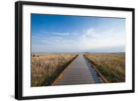 Walkway Going Through the Badlands National Park, South Dakota, Usa-Michael Runkel-Framed Photographic Print