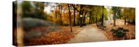 Walkway in a Park, Central Park, Manhattan, New York City, New York State, USA-null-Stretched Canvas