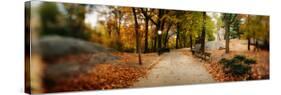 Walkway in a Park, Central Park, Manhattan, New York City, New York State, USA-null-Stretched Canvas