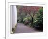 Walkway in Gardens, Magnolia Plantation and Gardens, Charleston, South Carolina, USA-Julie Eggers-Framed Photographic Print