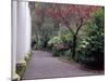 Walkway in Gardens, Magnolia Plantation and Gardens, Charleston, South Carolina, USA-Julie Eggers-Mounted Photographic Print