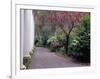 Walkway in Gardens, Magnolia Plantation and Gardens, Charleston, South Carolina, USA-Julie Eggers-Framed Photographic Print