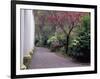 Walkway in Gardens, Magnolia Plantation and Gardens, Charleston, South Carolina, USA-Julie Eggers-Framed Photographic Print