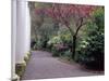 Walkway in Gardens, Magnolia Plantation and Gardens, Charleston, South Carolina, USA-Julie Eggers-Mounted Photographic Print