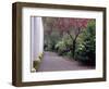 Walkway in Gardens, Magnolia Plantation and Gardens, Charleston, South Carolina, USA-Julie Eggers-Framed Photographic Print