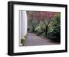 Walkway in Gardens, Magnolia Plantation and Gardens, Charleston, South Carolina, USA-Julie Eggers-Framed Photographic Print