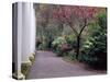 Walkway in Gardens, Magnolia Plantation and Gardens, Charleston, South Carolina, USA-Julie Eggers-Stretched Canvas