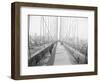 Walkway on Brooklyn Bridge-null-Framed Photographic Print