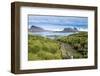 Walkway on Prion Island, South Georgia, Antarctica, Polar Regions-Michael Runkel-Framed Photographic Print