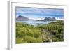 Walkway on Prion Island, South Georgia, Antarctica, Polar Regions-Michael Runkel-Framed Photographic Print