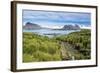 Walkway on Prion Island, South Georgia, Antarctica, Polar Regions-Michael Runkel-Framed Photographic Print