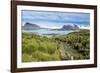 Walkway on Prion Island, South Georgia, Antarctica, Polar Regions-Michael Runkel-Framed Photographic Print