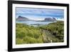 Walkway on Prion Island, South Georgia, Antarctica, Polar Regions-Michael Runkel-Framed Photographic Print