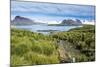 Walkway on Prion Island, South Georgia, Antarctica, Polar Regions-Michael Runkel-Mounted Photographic Print