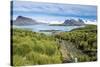 Walkway on Prion Island, South Georgia, Antarctica, Polar Regions-Michael Runkel-Stretched Canvas