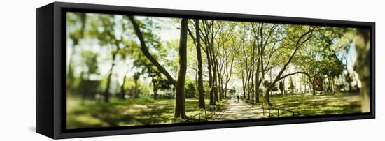 Walkway passing through park, McGolick Park, Greenpoint, Brooklyn, New York City, New York State...-Panoramic Images-Framed Stretched Canvas