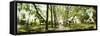 Walkway passing through park, McGolick Park, Greenpoint, Brooklyn, New York City, New York State...-Panoramic Images-Framed Stretched Canvas