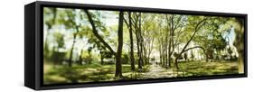 Walkway passing through park, McGolick Park, Greenpoint, Brooklyn, New York City, New York State...-Panoramic Images-Framed Stretched Canvas