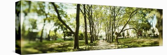 Walkway passing through park, McGolick Park, Greenpoint, Brooklyn, New York City, New York State...-Panoramic Images-Stretched Canvas