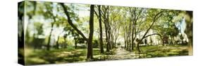 Walkway passing through park, McGolick Park, Greenpoint, Brooklyn, New York City, New York State...-Panoramic Images-Stretched Canvas