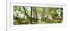 Walkway passing through park, McGolick Park, Greenpoint, Brooklyn, New York City, New York State...-Panoramic Images-Framed Photographic Print