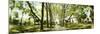 Walkway passing through park, McGolick Park, Greenpoint, Brooklyn, New York City, New York State...-Panoramic Images-Mounted Photographic Print