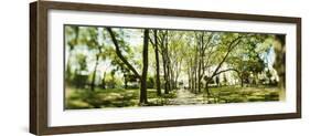 Walkway passing through park, McGolick Park, Greenpoint, Brooklyn, New York City, New York State...-Panoramic Images-Framed Photographic Print