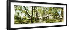 Walkway passing through park, McGolick Park, Greenpoint, Brooklyn, New York City, New York State...-Panoramic Images-Framed Photographic Print