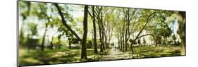Walkway passing through park, McGolick Park, Greenpoint, Brooklyn, New York City, New York State...-Panoramic Images-Mounted Photographic Print