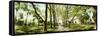 Walkway passing through park, McGolick Park, Greenpoint, Brooklyn, New York City, New York State...-Panoramic Images-Framed Stretched Canvas