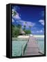 Walkway, Tahiti, French Polynesia, Oceania-Bill Bachmann-Framed Stretched Canvas