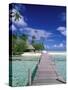Walkway, Tahiti, French Polynesia, Oceania-Bill Bachmann-Stretched Canvas
