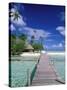 Walkway, Tahiti, French Polynesia, Oceania-Bill Bachmann-Stretched Canvas