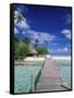 Walkway, Tahiti, French Polynesia, Oceania-Bill Bachmann-Framed Stretched Canvas