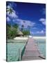 Walkway, Tahiti, French Polynesia, Oceania-Bill Bachmann-Stretched Canvas