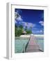 Walkway, Tahiti, French Polynesia, Oceania-Bill Bachmann-Framed Photographic Print