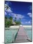 Walkway, Tahiti, French Polynesia, Oceania-Bill Bachmann-Mounted Photographic Print