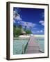 Walkway, Tahiti, French Polynesia, Oceania-Bill Bachmann-Framed Photographic Print