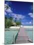 Walkway, Tahiti, French Polynesia, Oceania-Bill Bachmann-Mounted Photographic Print