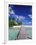 Walkway, Tahiti, French Polynesia, Oceania-Bill Bachmann-Framed Photographic Print