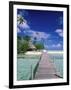 Walkway, Tahiti, French Polynesia, Oceania-Bill Bachmann-Framed Photographic Print