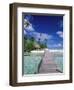 Walkway, Tahiti, French Polynesia, Oceania-Bill Bachmann-Framed Photographic Print