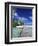 Walkway, Tahiti, French Polynesia, Oceania-Bill Bachmann-Framed Photographic Print