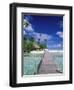 Walkway, Tahiti, French Polynesia, Oceania-Bill Bachmann-Framed Photographic Print